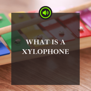 what is a xylophone