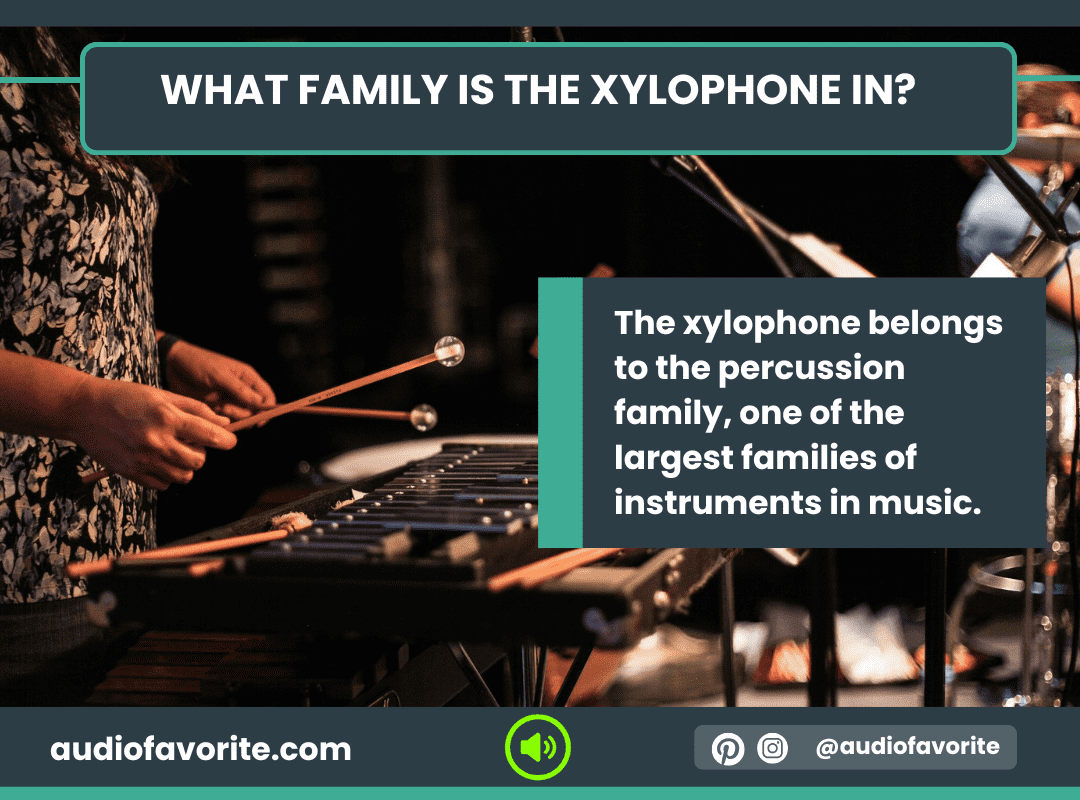 What Family Is the Xylophone In
