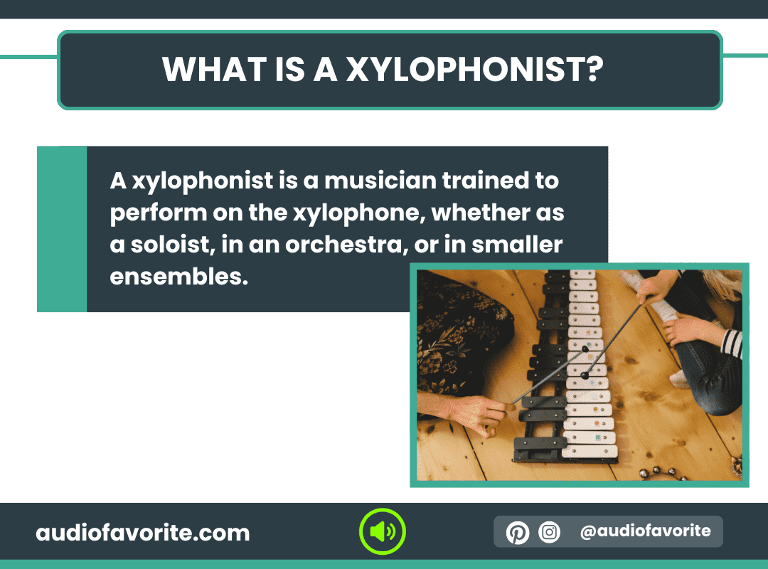 What Is a Xylophonist