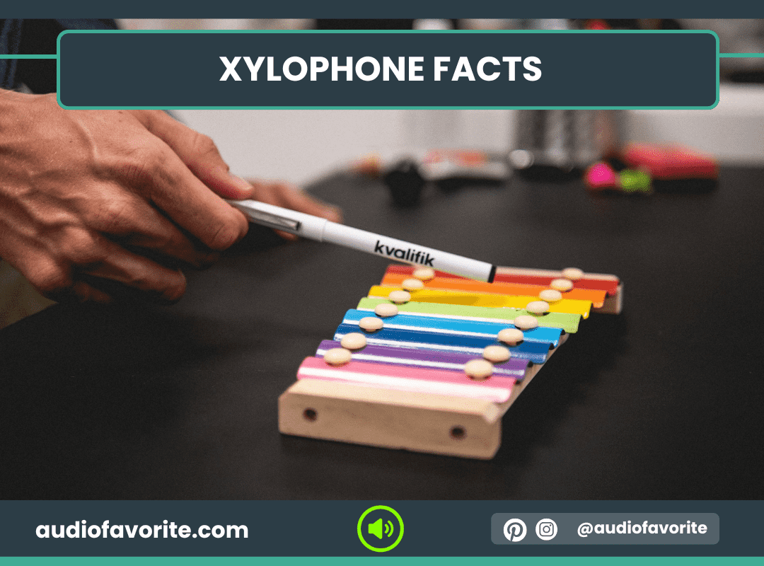 Xylophone Facts